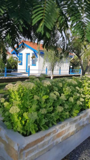 Complex Turistic Essenza